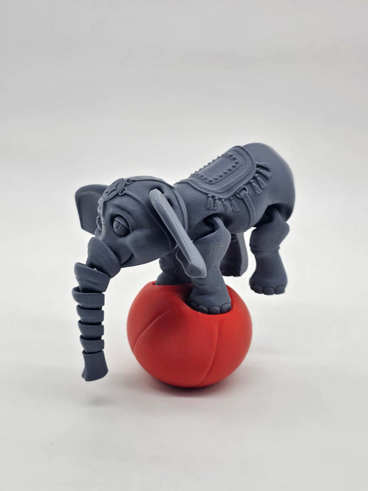 Elephant with balance ball